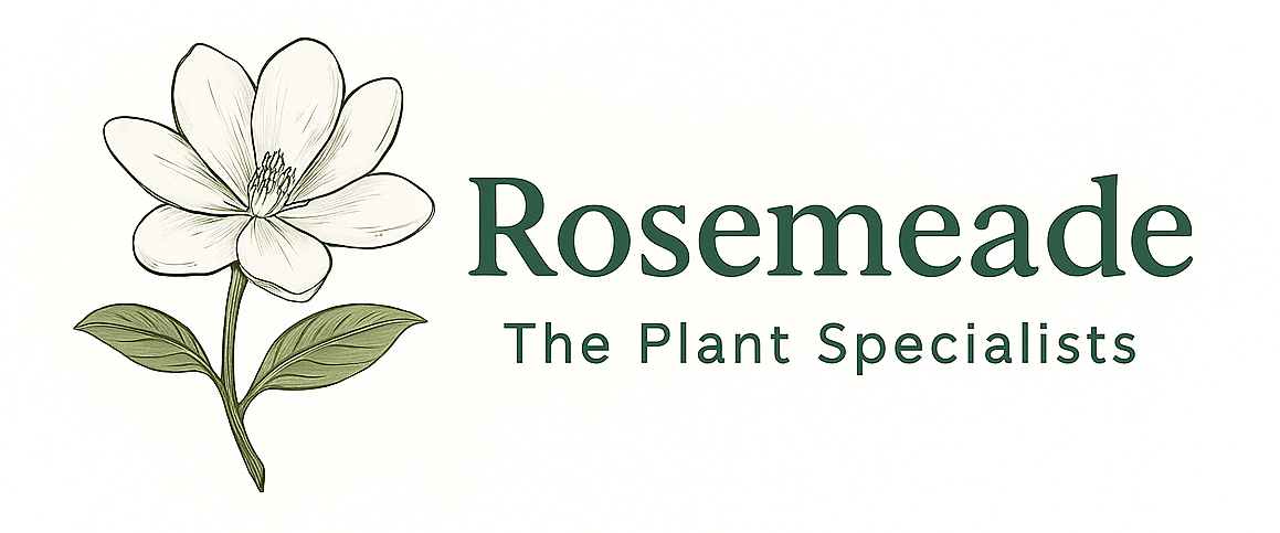 cropped logo full.png