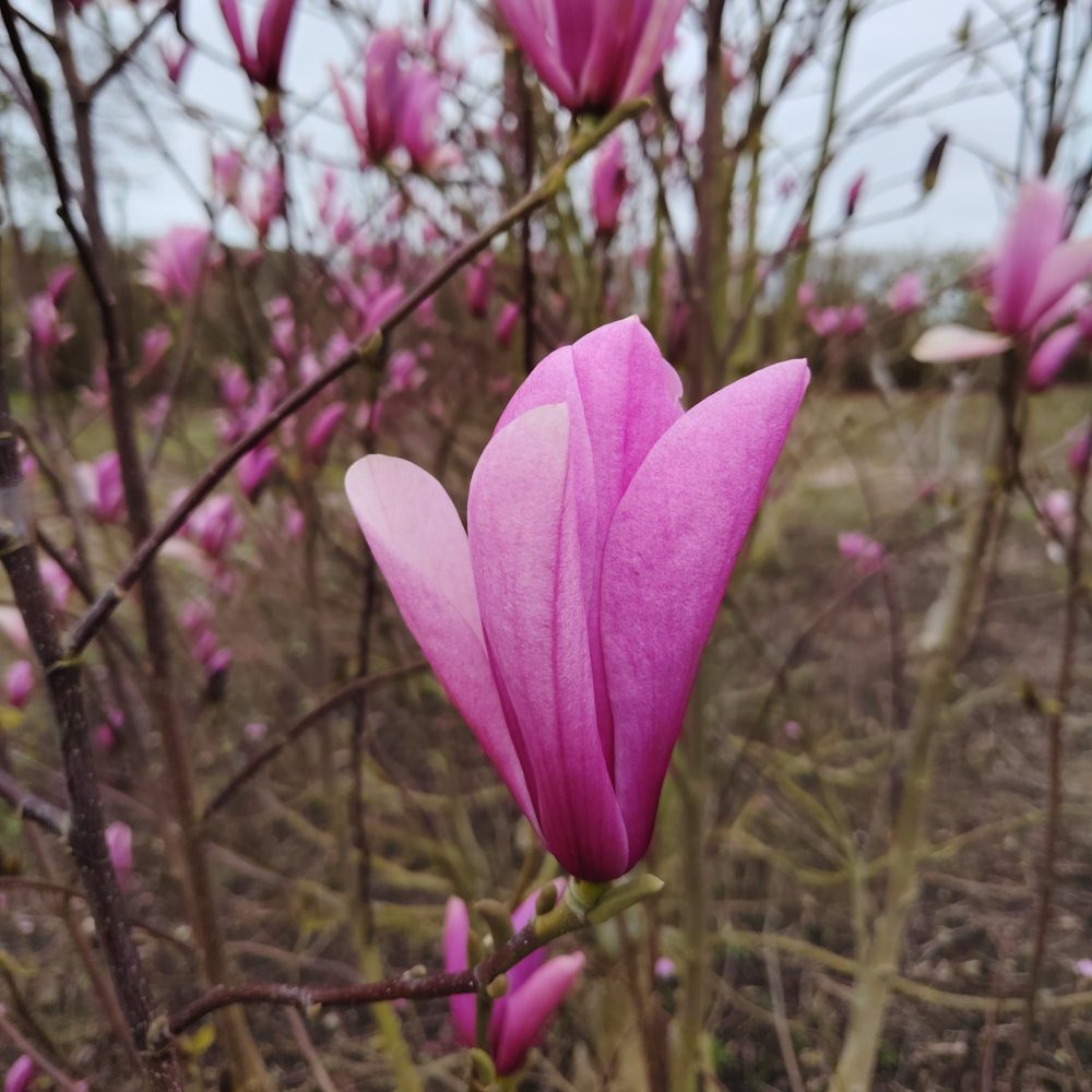 df23be69-d1a2-4bdc-ad1a-674010d7f74e